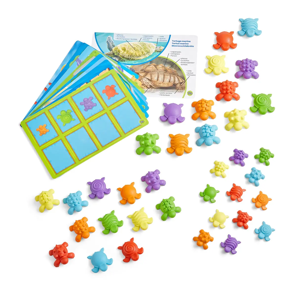 Hand2mind Tactile Turtles - Educational Math Learning Toy Set 1