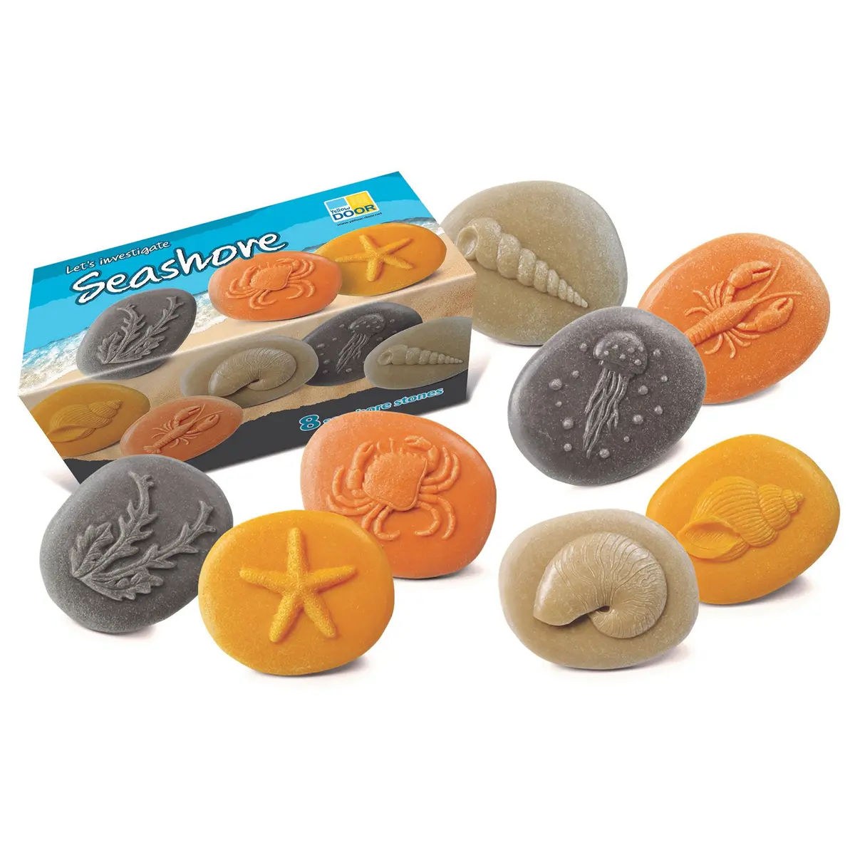 Yellow Door Let's Investigate - Seashore Exploration - Set Of 8 Stone Figures 1