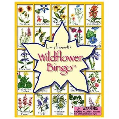 Wildflower Bingo - Educational Game For Kids - Explore Native Plants 1