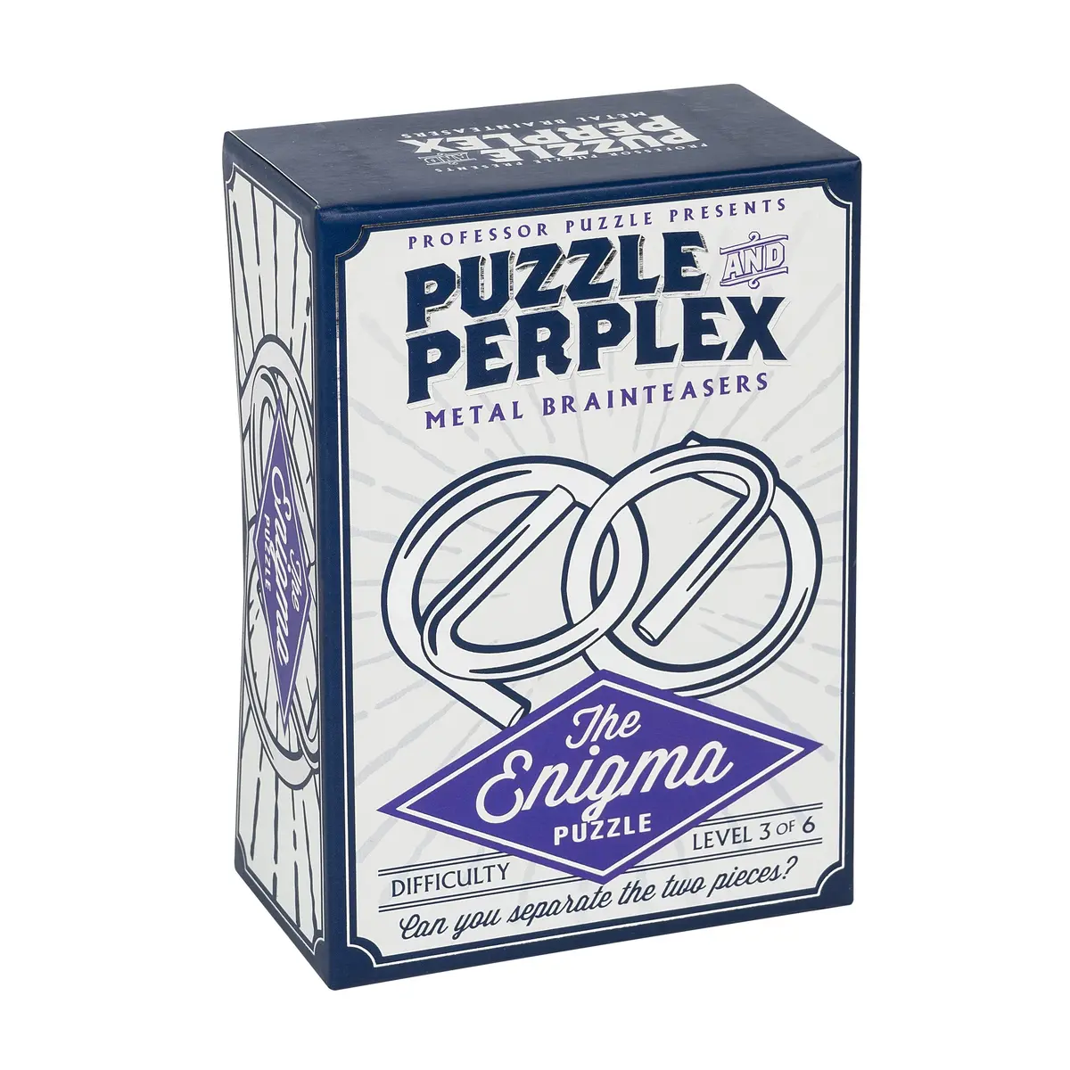 Professor Puzzle Enigma Steel Brain-Teaser Puzzle 1