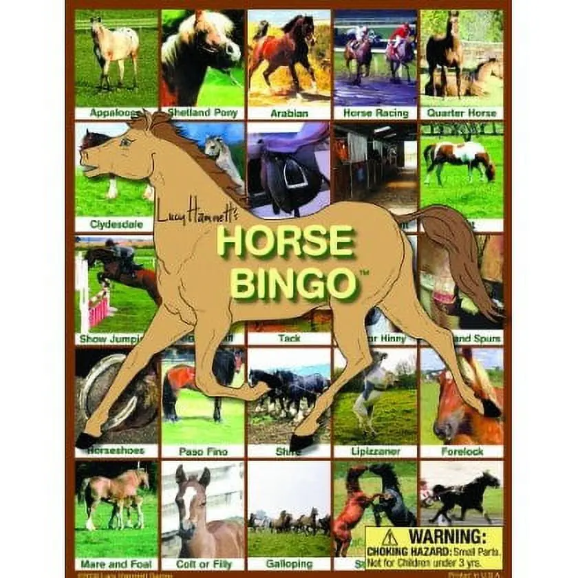 Equestrian Junior - Horse Bingo Game For Kids - Educational Playset 1