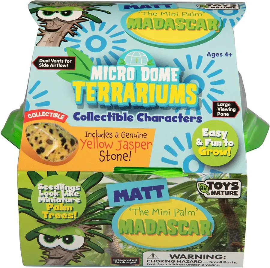Toys By Nature Matt The Madagascar Mini Palm Terrarium Kit 1