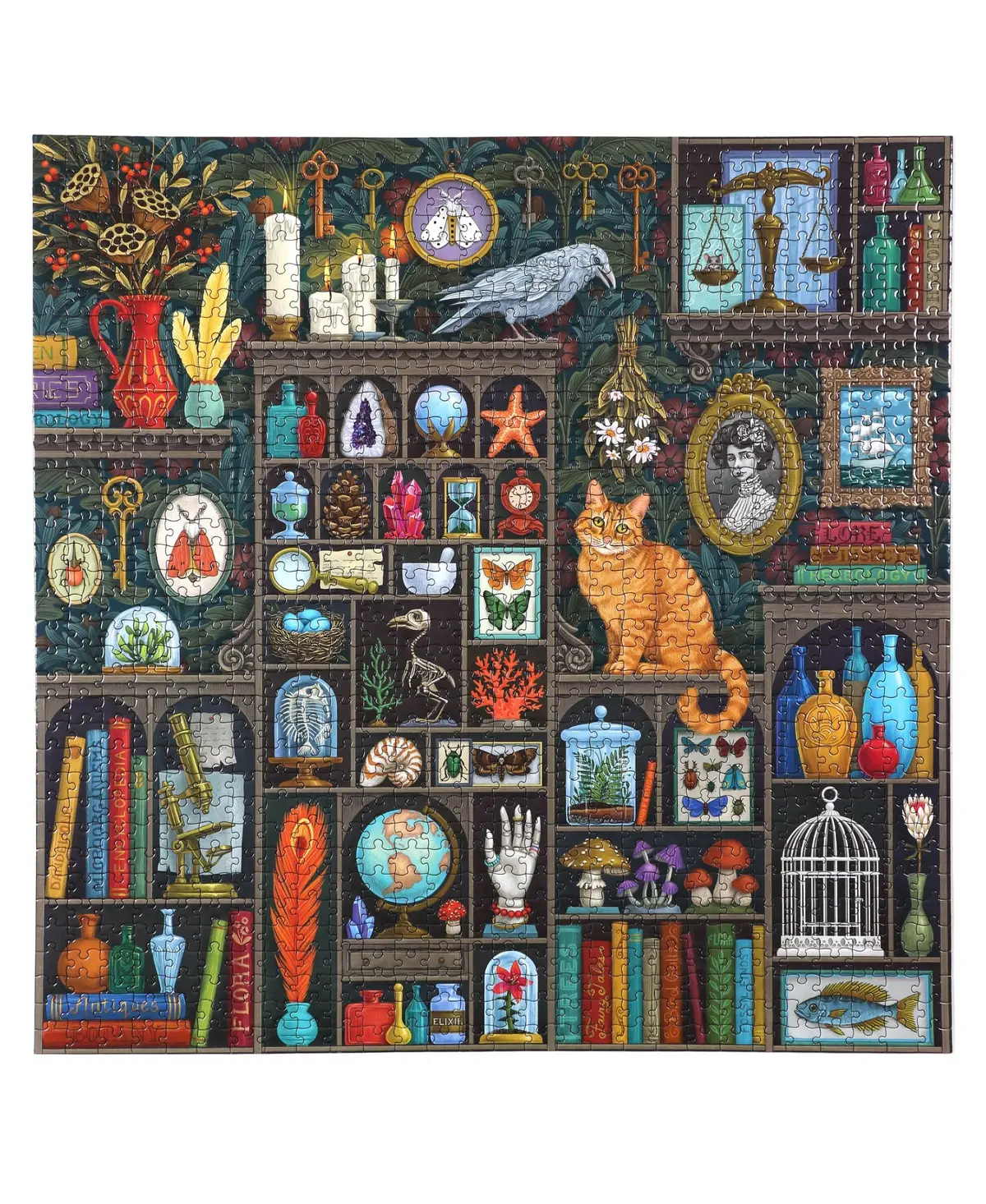 Eeboo Piece And Love Alchemist Cabinet Academia-Inspired Puzzle - 1000 Pc 1
