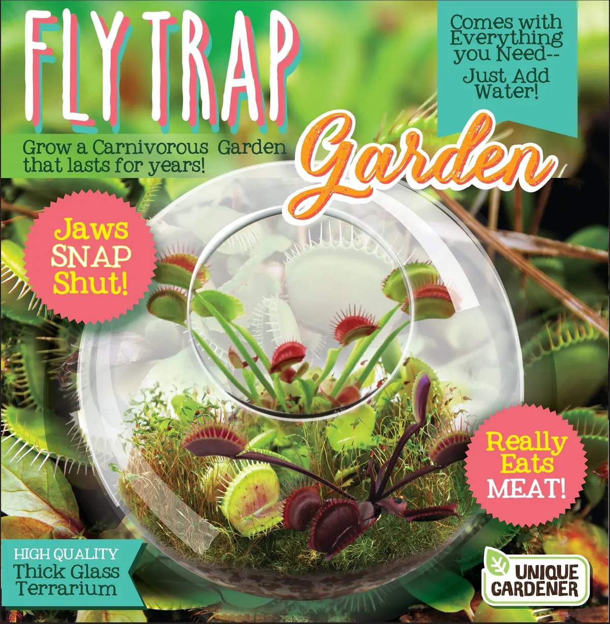 Unique Gardener Carnivorous Fly Trap Glass Terrarium Kit 1
