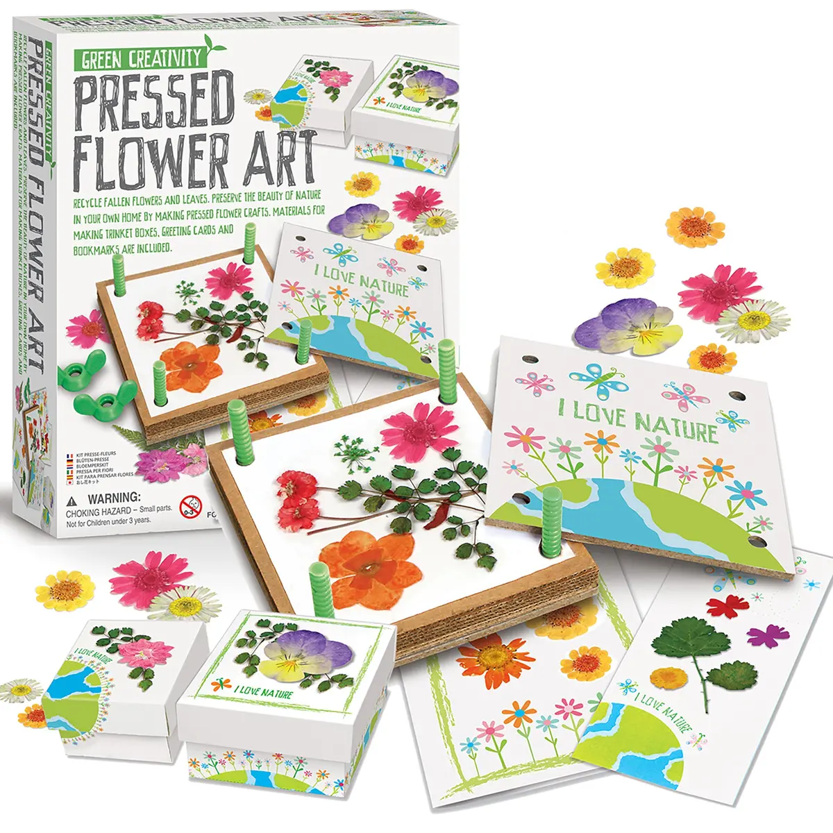 Green Creativity: Pressed Flower Art 1