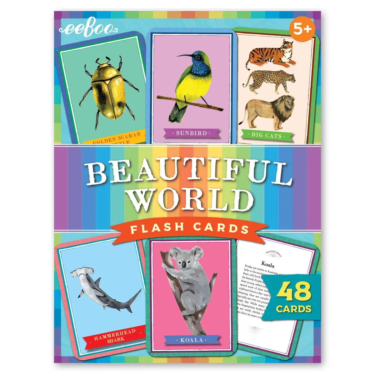 Beautiful World 48-Piece Educational Flashcard Set 1