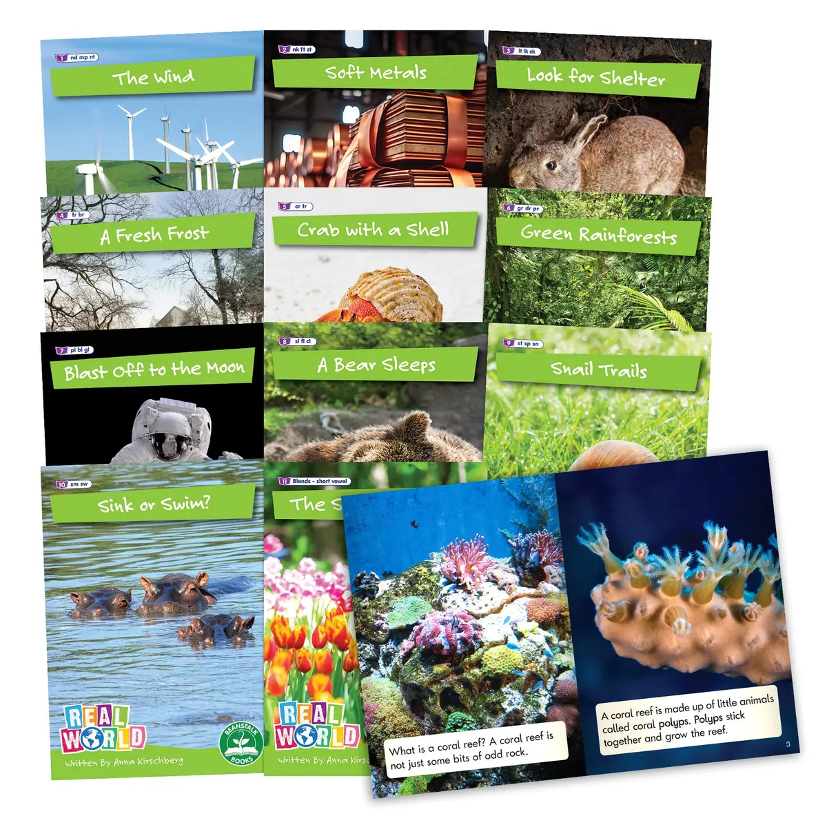 Junior Learning Real World Phase 4 Non-Fiction Hi-Lo Decodables 6 Book Set 1