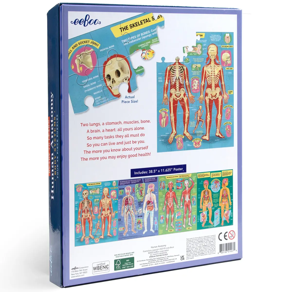 Anatomical Explorer 4-Pack Human Anatomy Jigsaw Puzzles - 48 Pc Each 1