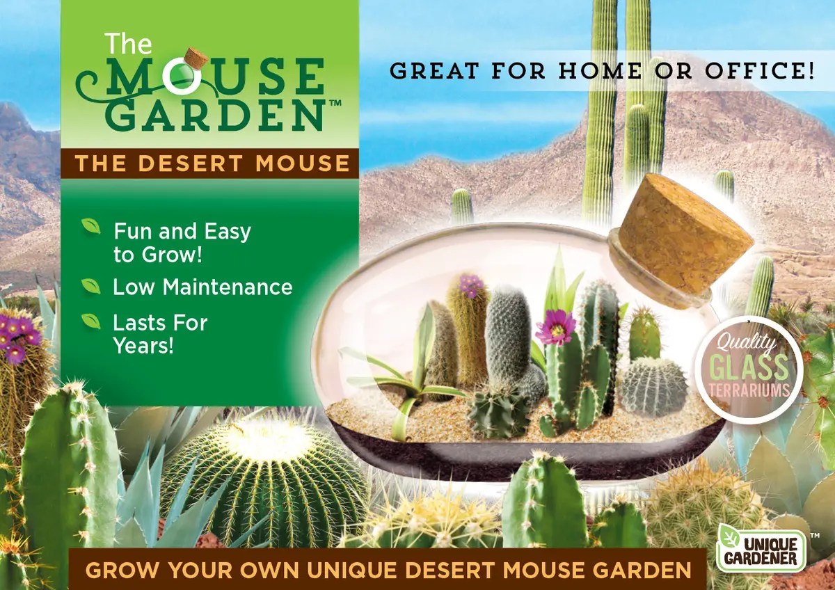 Toys R Us Desert Mouse Cacti Terrarium Kit 1