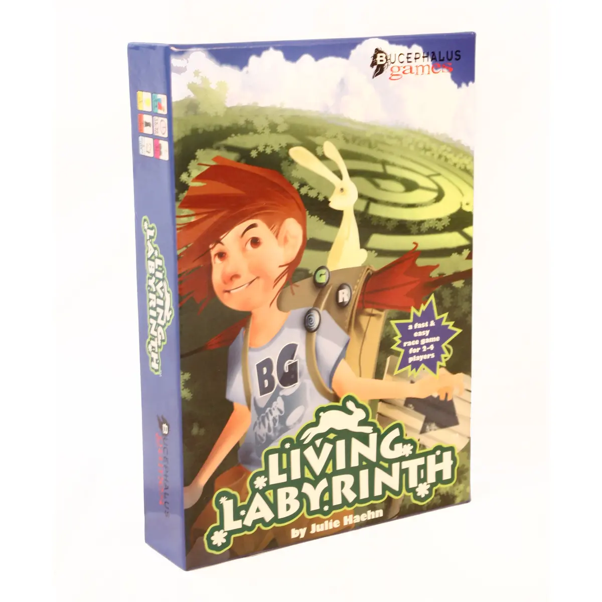 Living Labyrinth Garden Maze Race Game 1