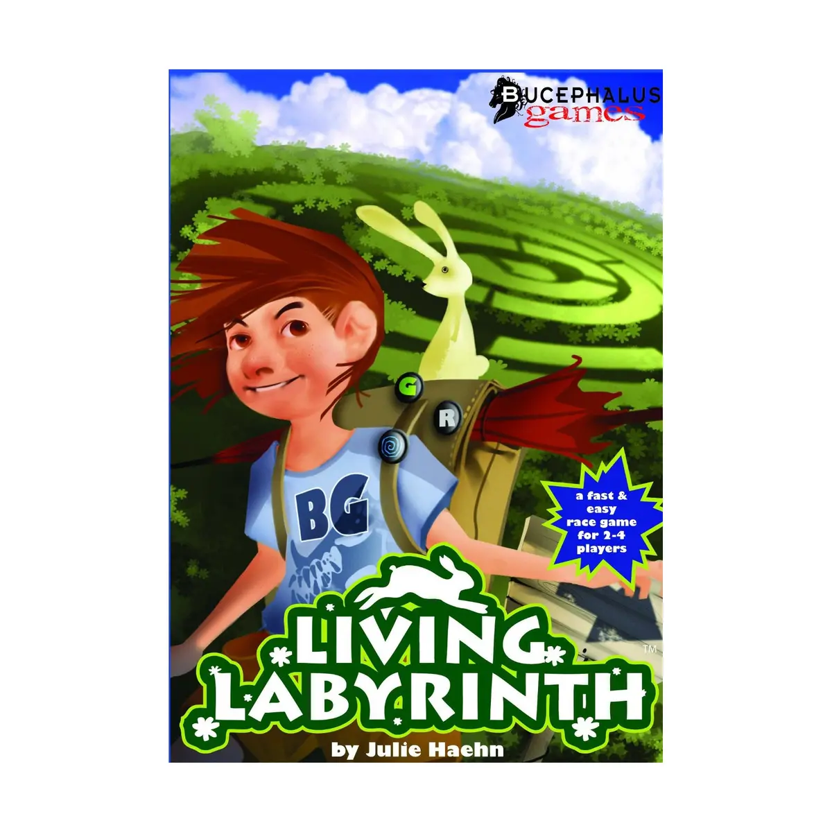 Living Labyrinth Garden Maze Race Game 2