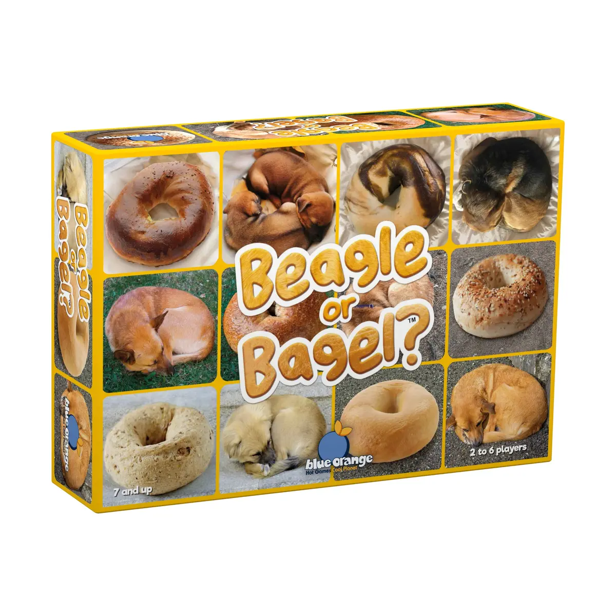 Beagle Or Bagel? Family Fun Card Game 1