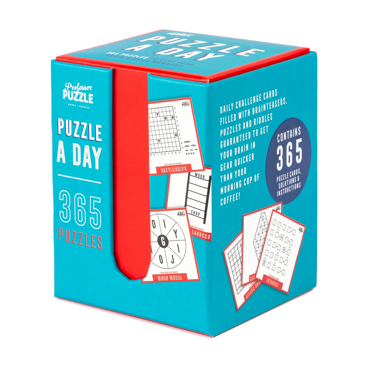 Professor Puzzle 365 Challenge Brain Teasers Set 1