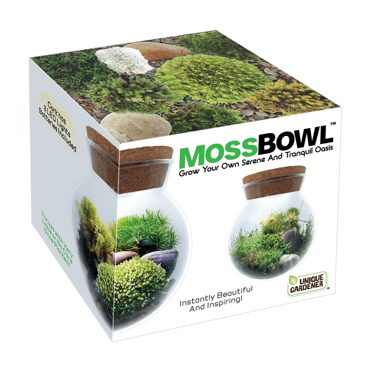 Mossbowl - Cultivate Your Personal Green Zen Space 1