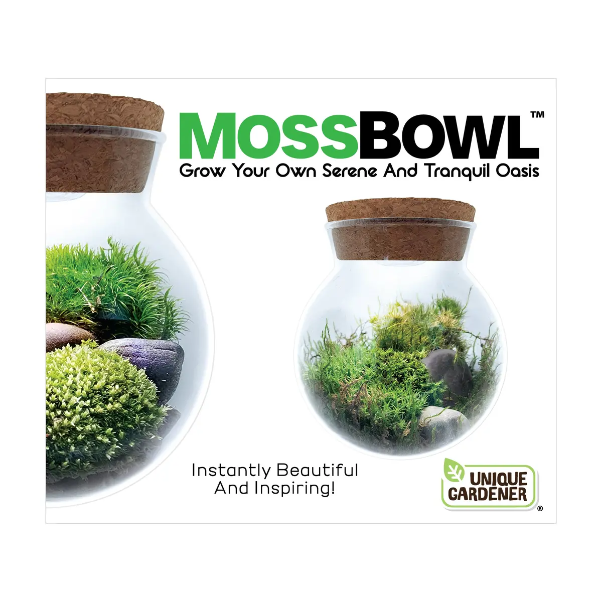 Mossbowl - Cultivate Your Personal Green Zen Space 2