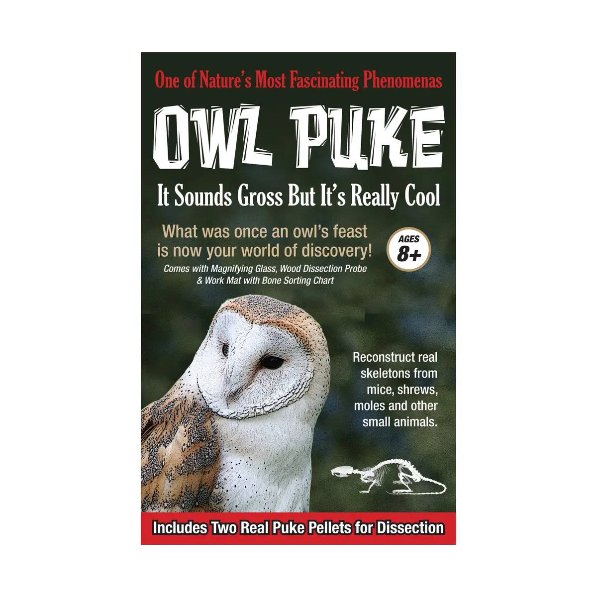 Exploratory Owl Puke Dissection Science Kit 1
