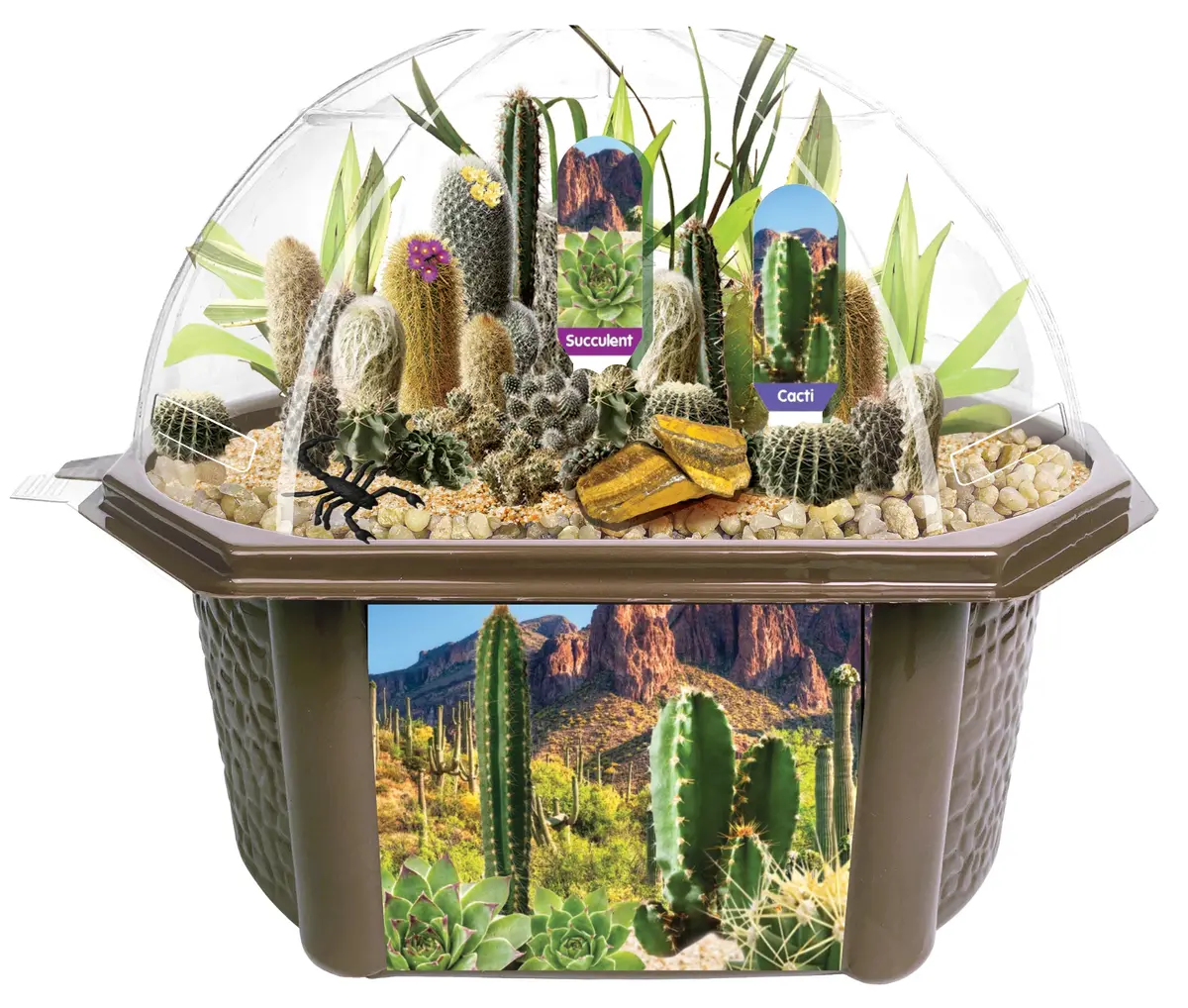 Toys By Nature Desert Biosphere Terrarium Kit - Complete Cacti & Succulent Grow Set 1